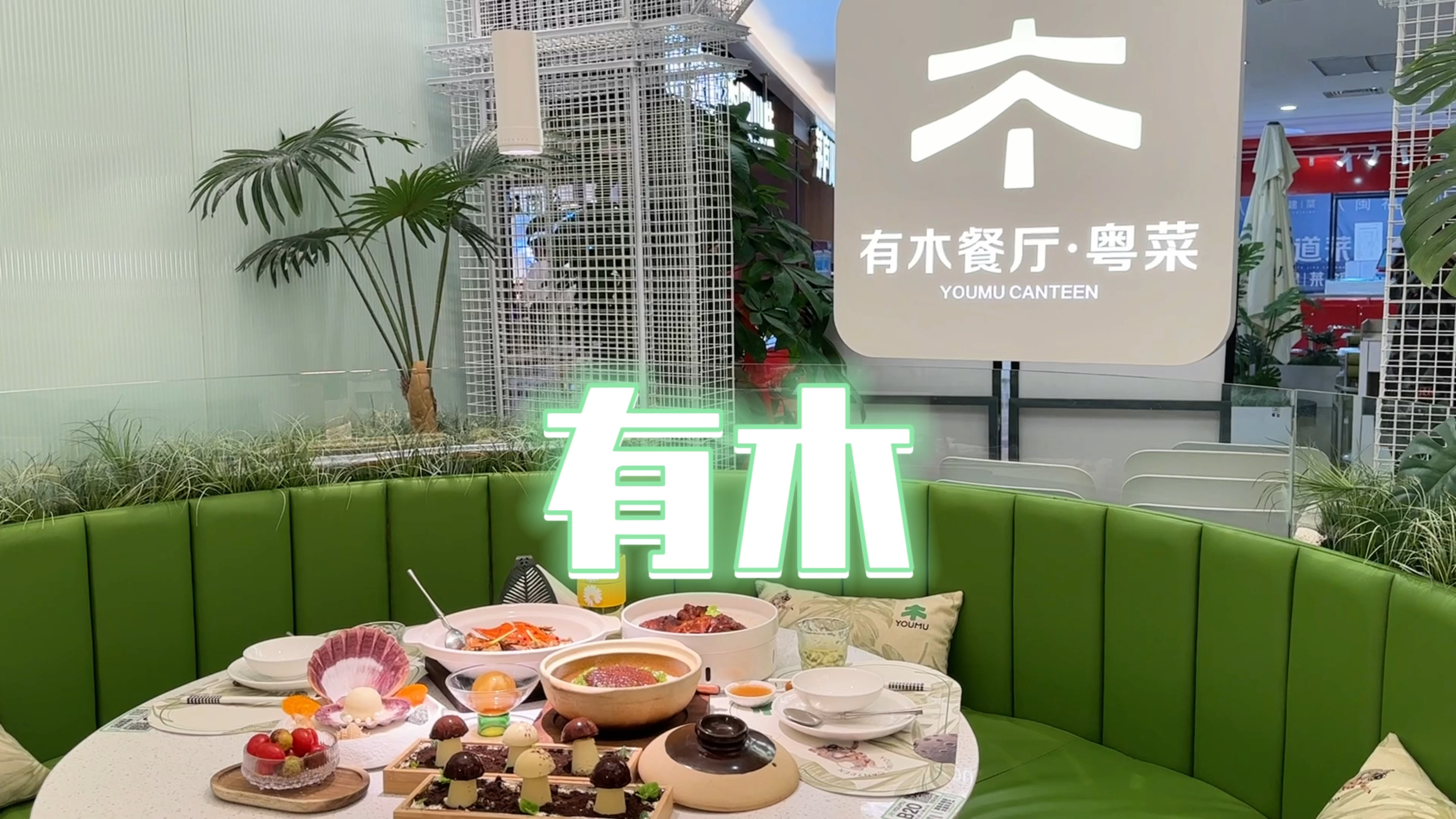 南京探店/环境口味服务都拿捏 有木也太会了