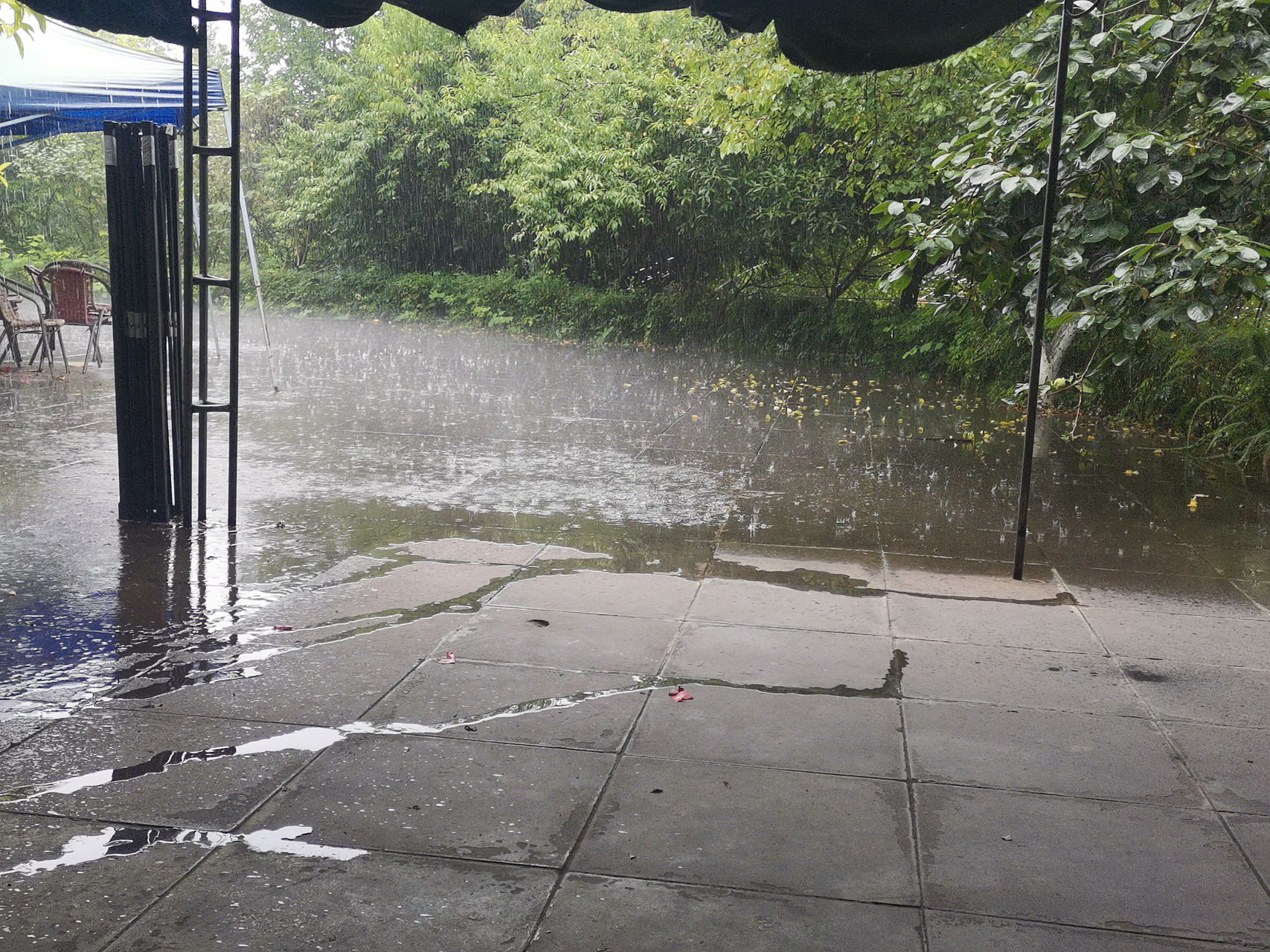 南充# 看手机天气预报说今天最高才29,30度,我就来爬个西山,哪知稻排