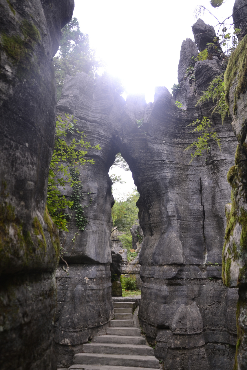 重庆万盛石林  重庆万盛石林风景区位于重庆市綦江区,是我国第二大