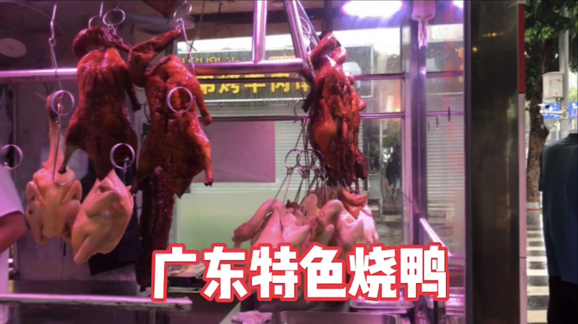 自驾游西藏经过珠海今天休息整顿,出来尝尝广东特色烧鸭饭
