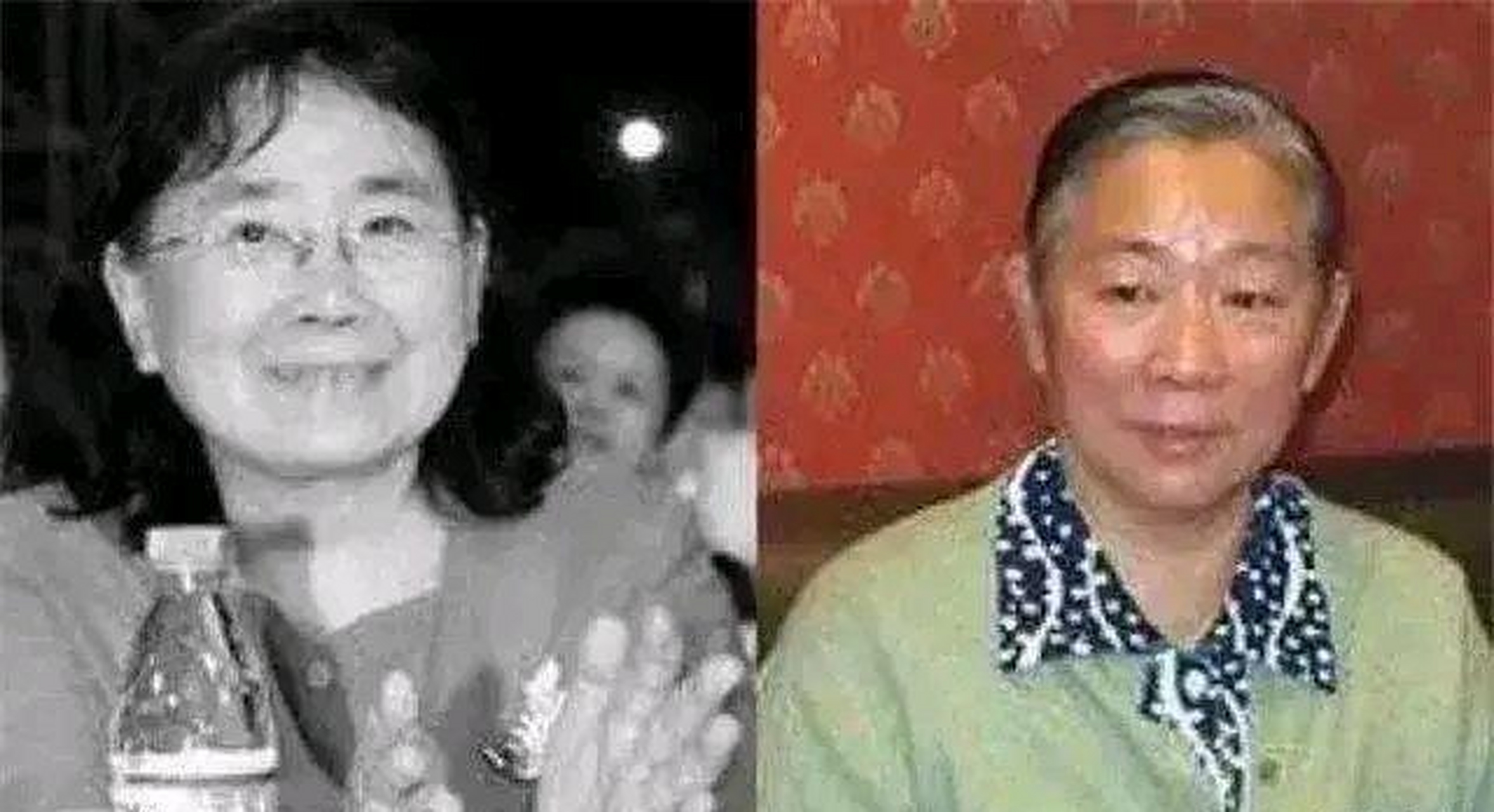 九一三事件后,林立衡到处替父辩解,而林晓霖.到处替父谢罪.