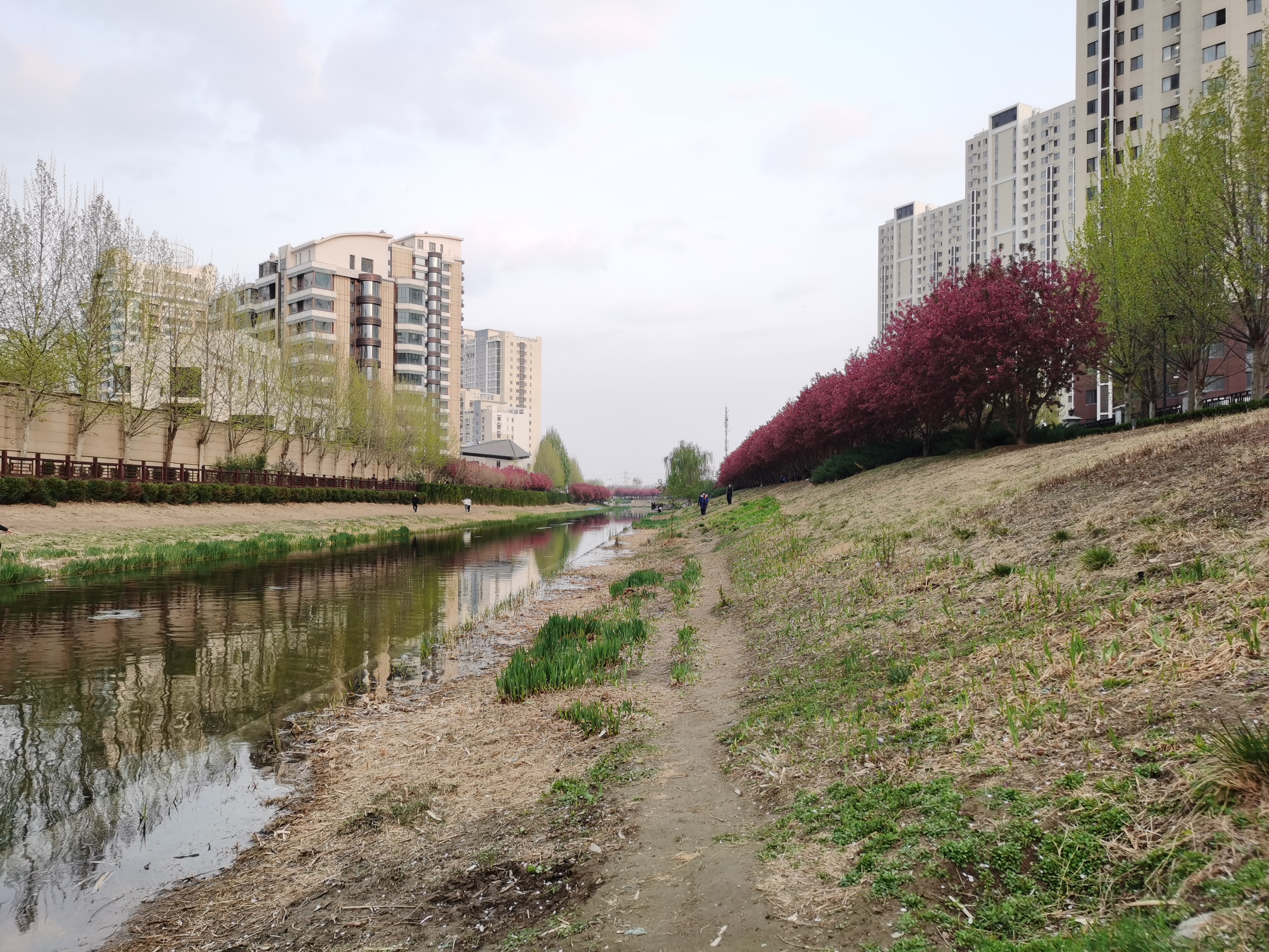 春天的萧太后河公园适合去赏花看瀑布