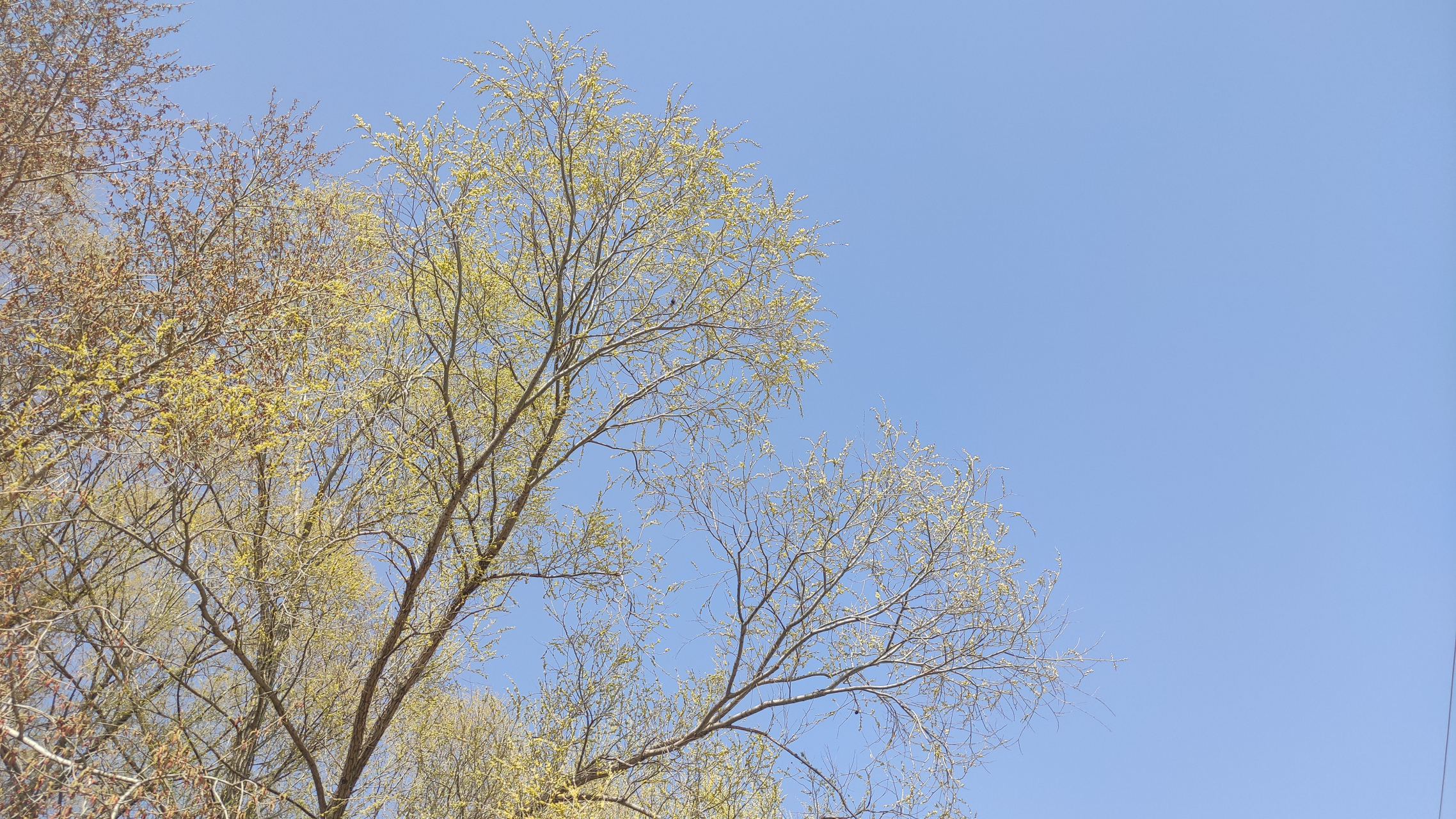 微风不燥,阳光正好,早安