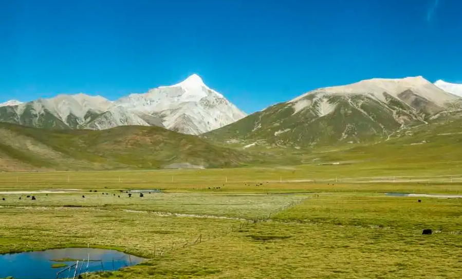 z265次列车进藏风光