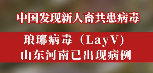 琅琊病毒为什么叫琅琊病毒 琅琊病毒是什么意思 