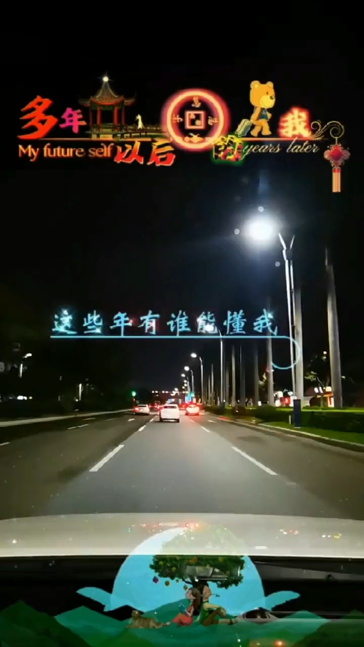多年以后的我