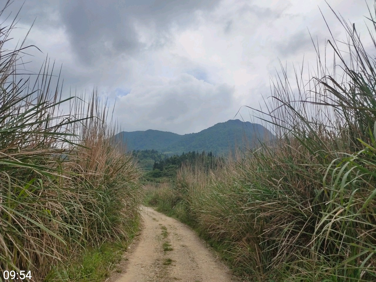 新丰县梅坑镇景点图片