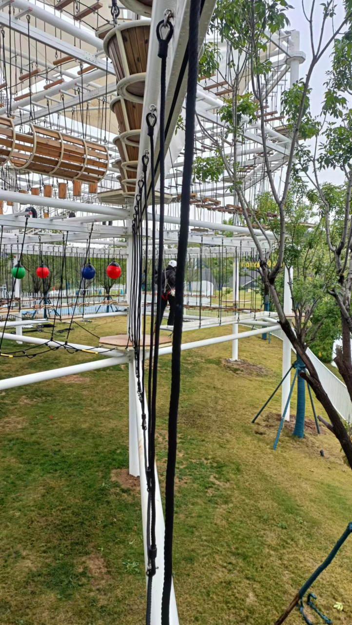 在郑州的一日行 众意路公园 二七塔  中原福塔 河南博物院  大鱼公园