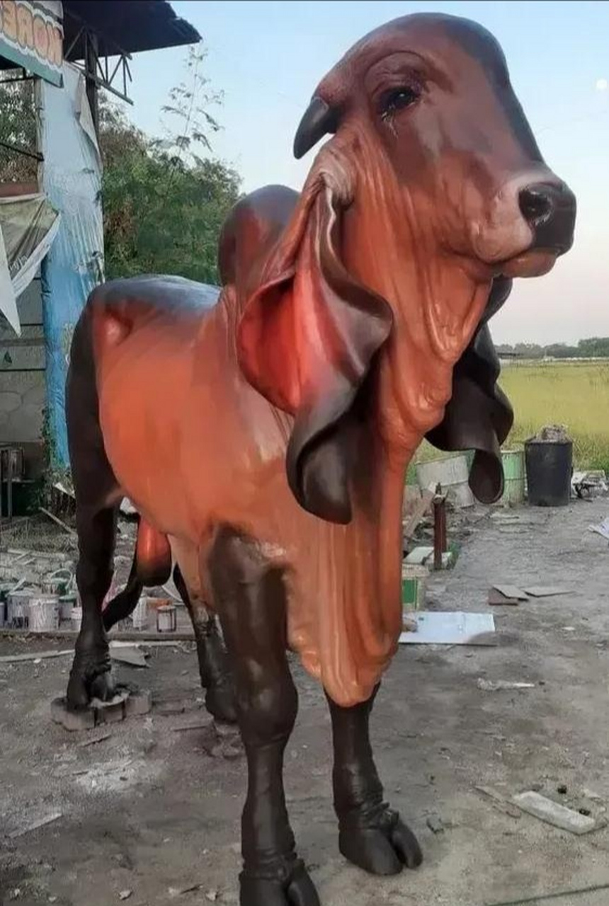 这是骆驼和牛的结合体"驼牛"吗?