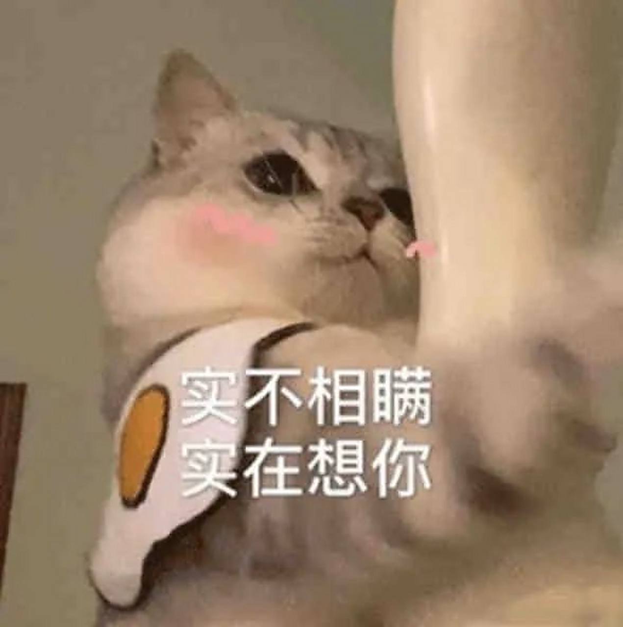 聊天必备搞笑表情包,情侣夫妻专用