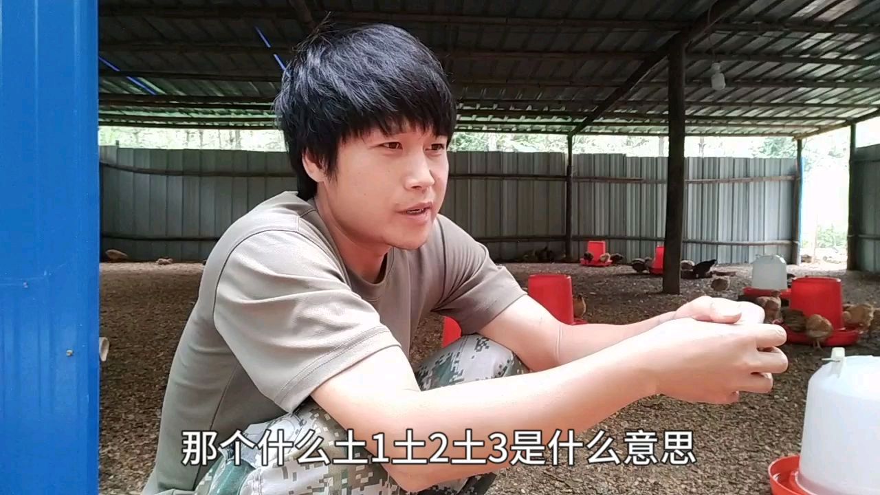 没进过鸡苗的厂家,还是谨慎的考虑一下,简单说下土鸡的品种区别