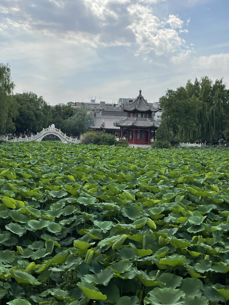 保定之行—莲花池公园  保定莲花池公园离直隶总督署很近,过马路走两