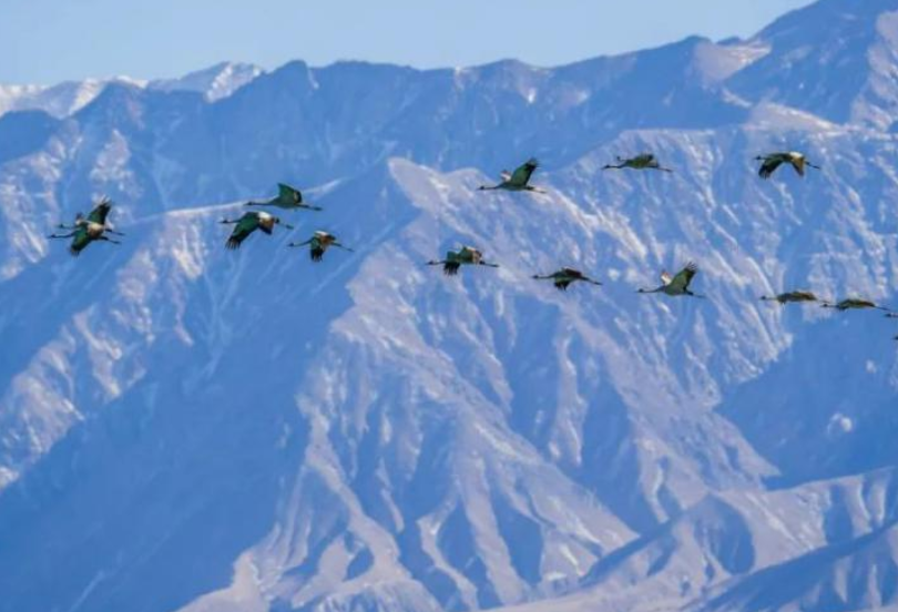 z917沿途风景有什么