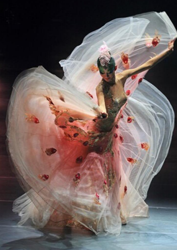 杨丽萍与爱徒肖蓉浩跳孔雀舞,动作被指不雅,惹争议