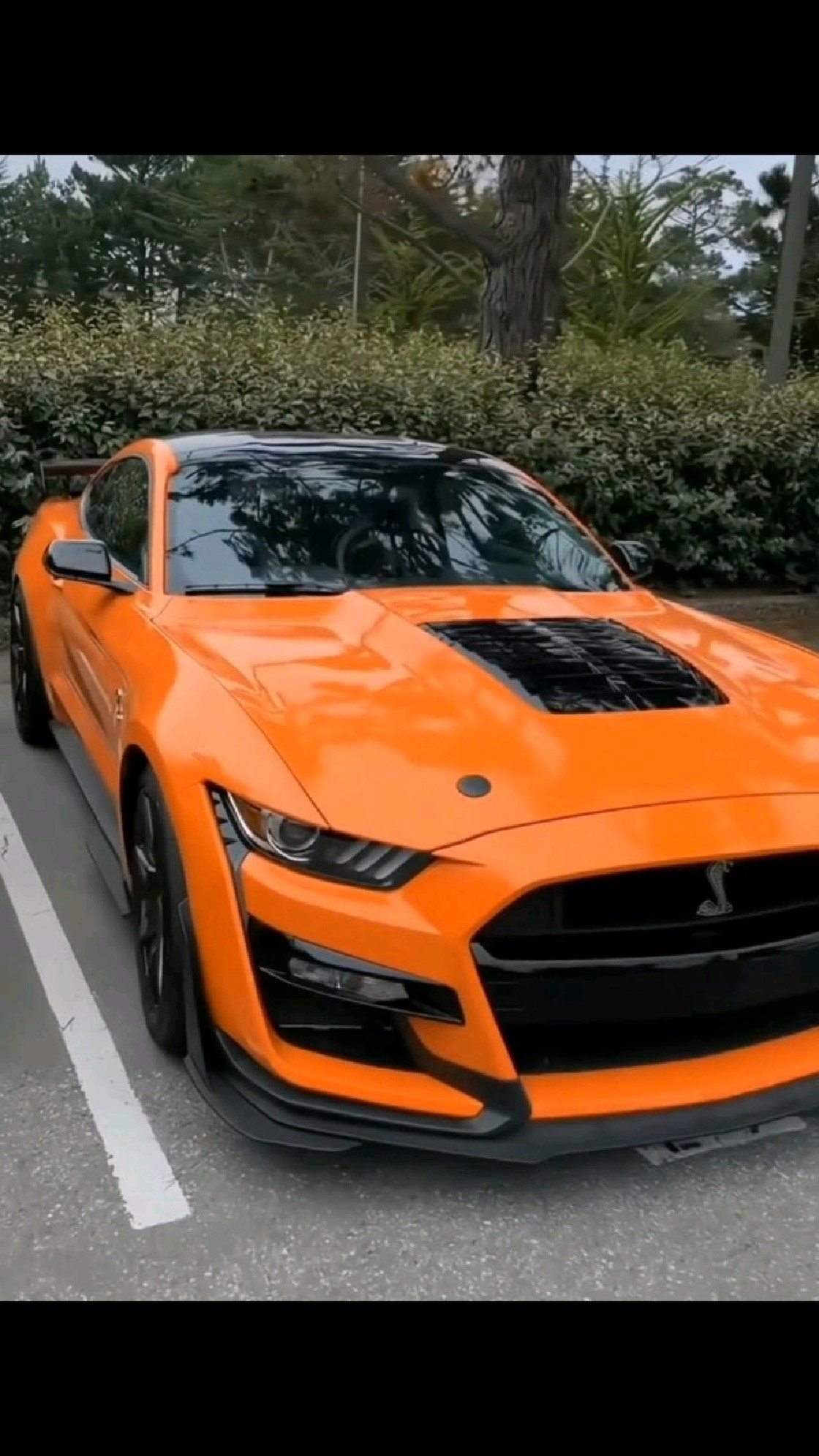 福特谢尔比眼镜蛇52升v8发动机