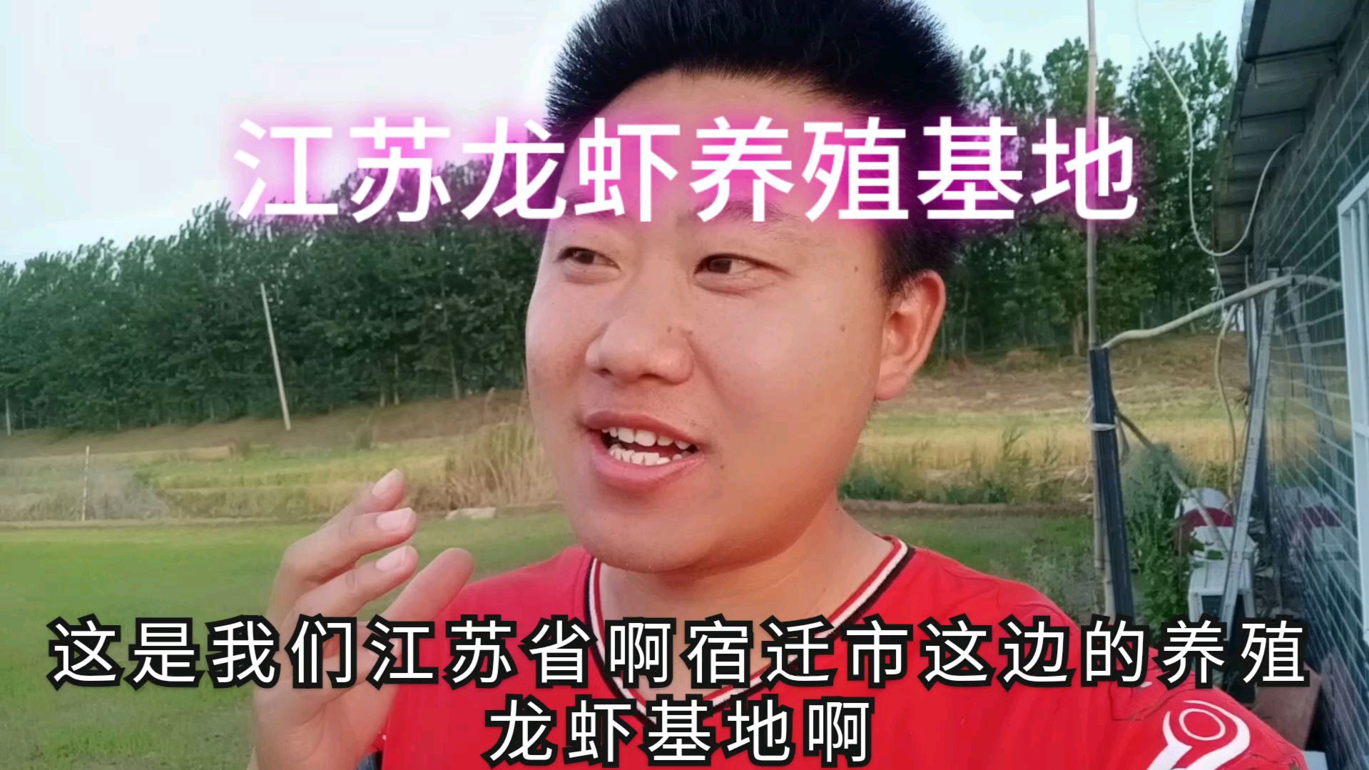 江苏宿迁龙虾养殖基地,这片有上万亩,向阳带你们观光一下