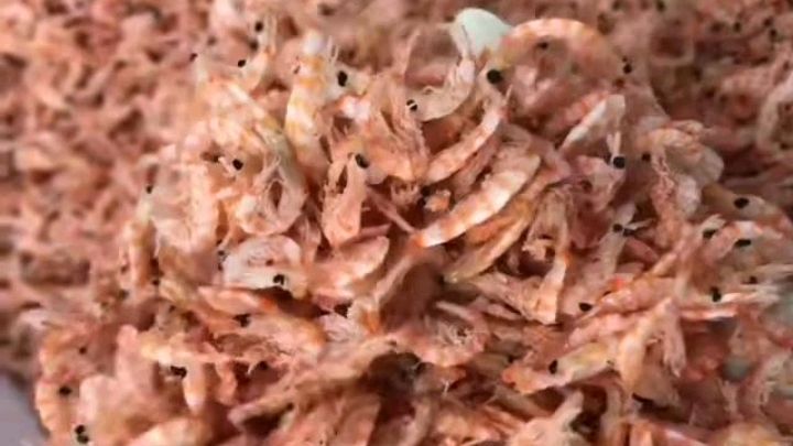 痴鲜野生海鲜:大红虾皮干可以吃到虾肉的虾皮干