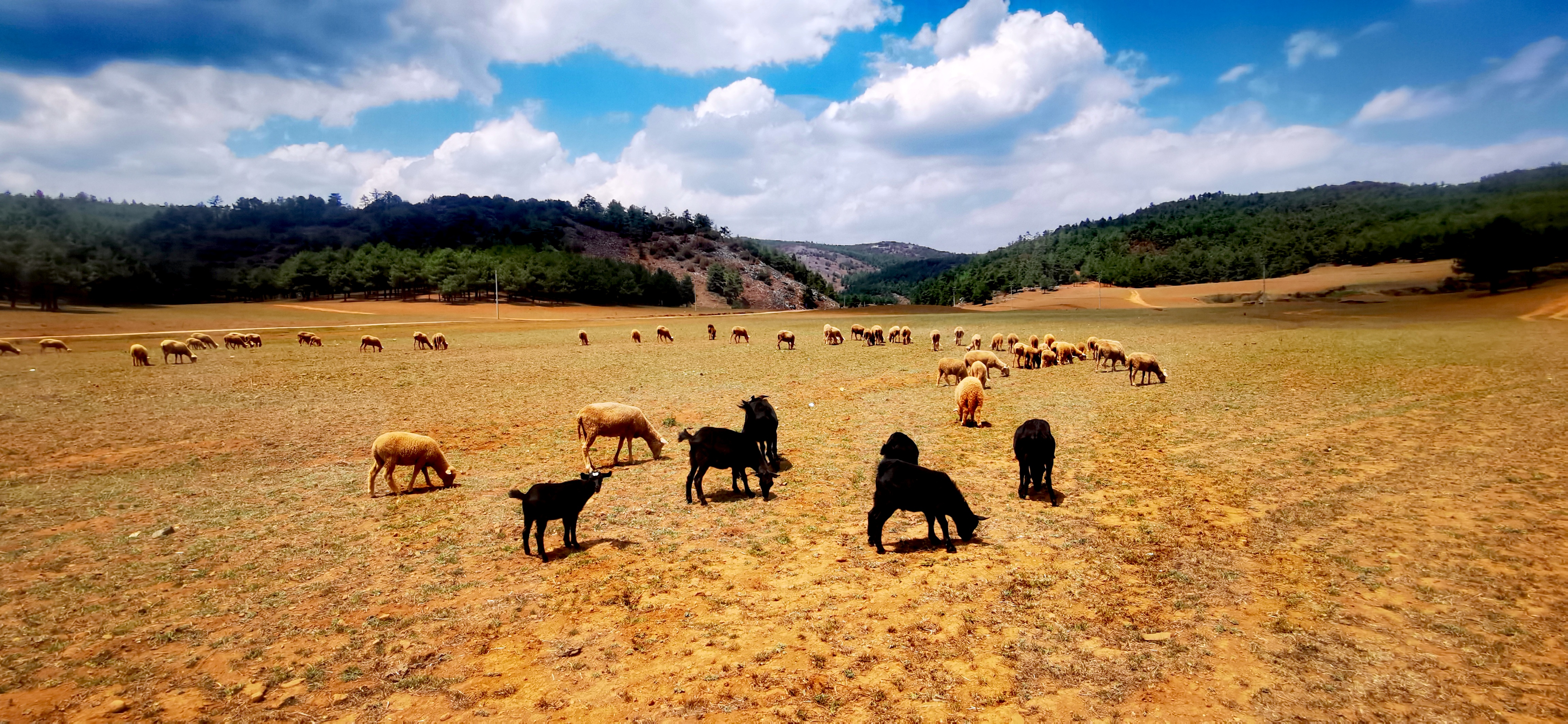 大尖山又名三尖山15,嵩明县的最高峰