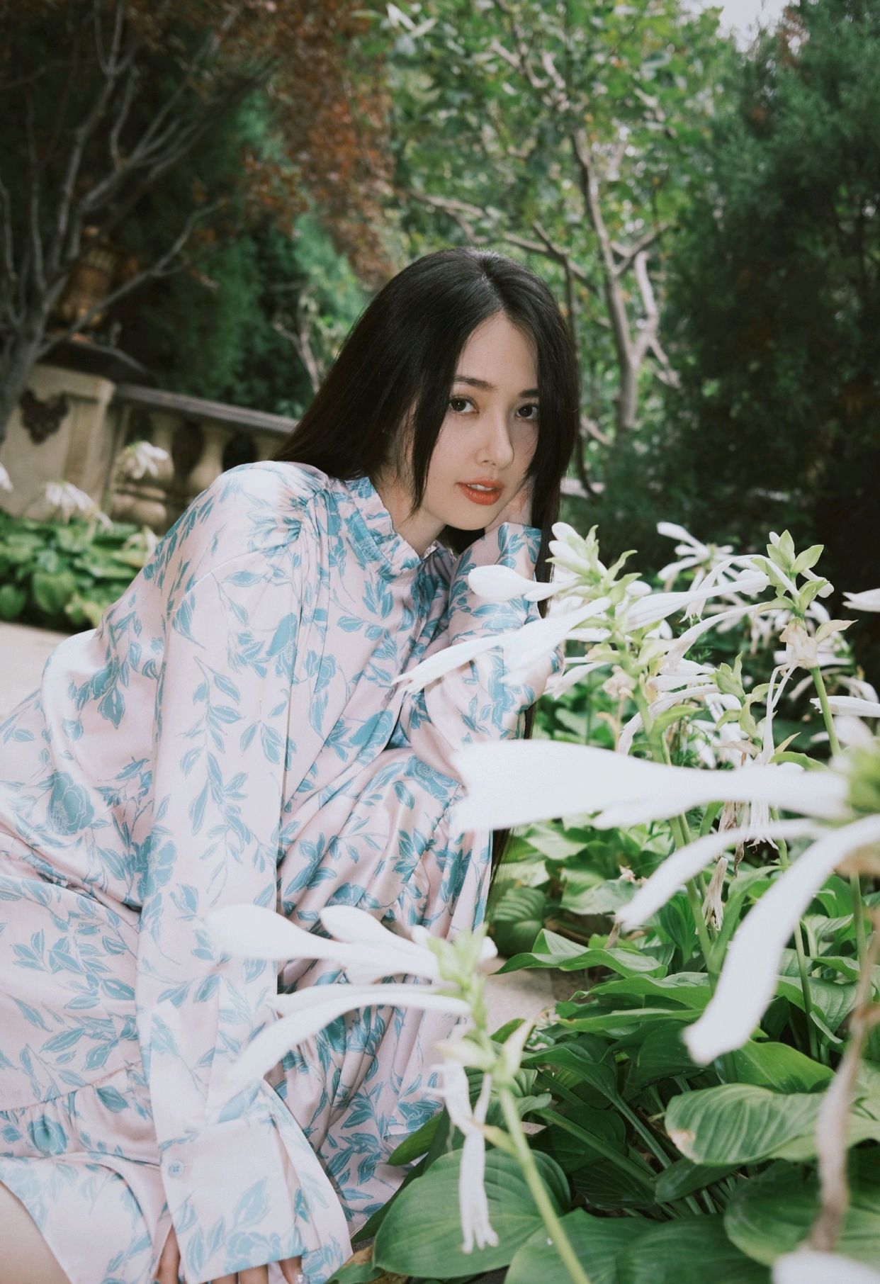 明星美图|郭碧婷