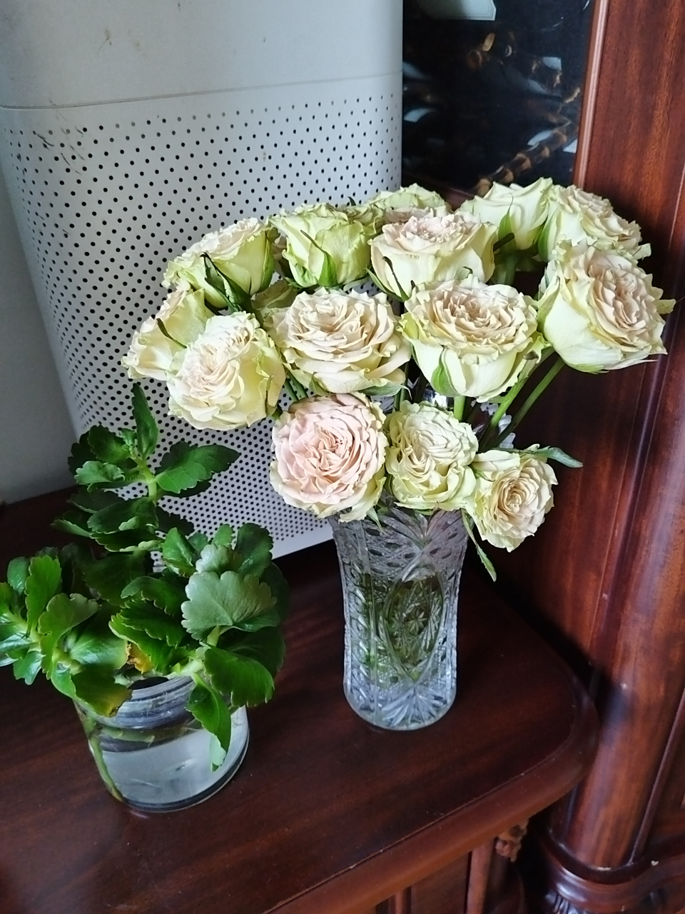 夏天对鲜切花一点都不友好,鲜花运来的时候就花蔫叶枯的,很多叶子一碰