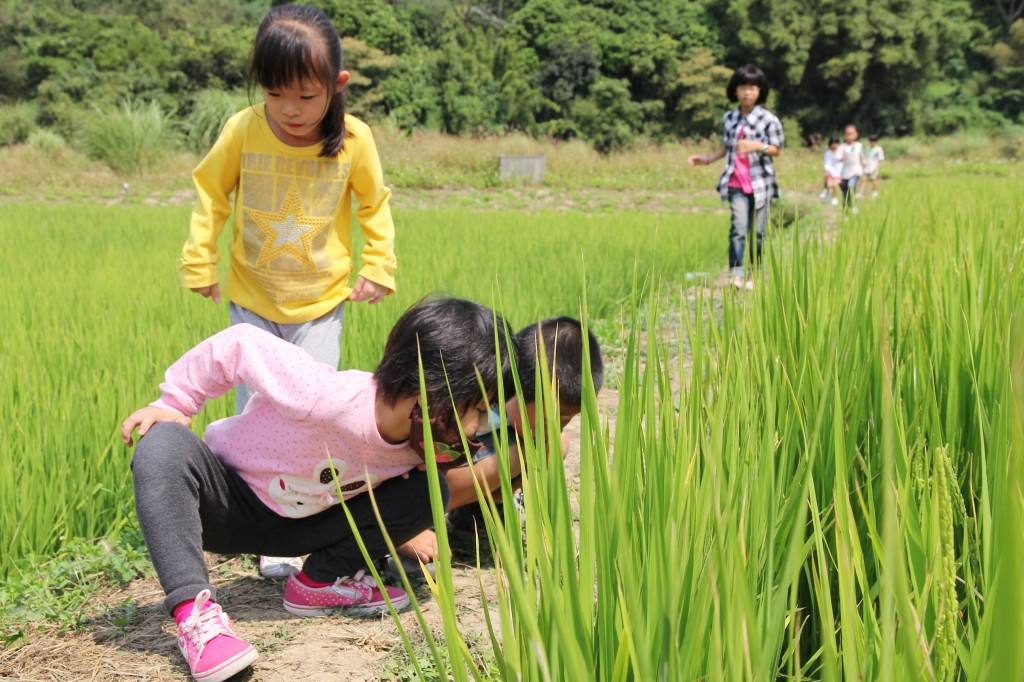 放假了去哪儿玩?春暖花开,让孩子亲近大自然!