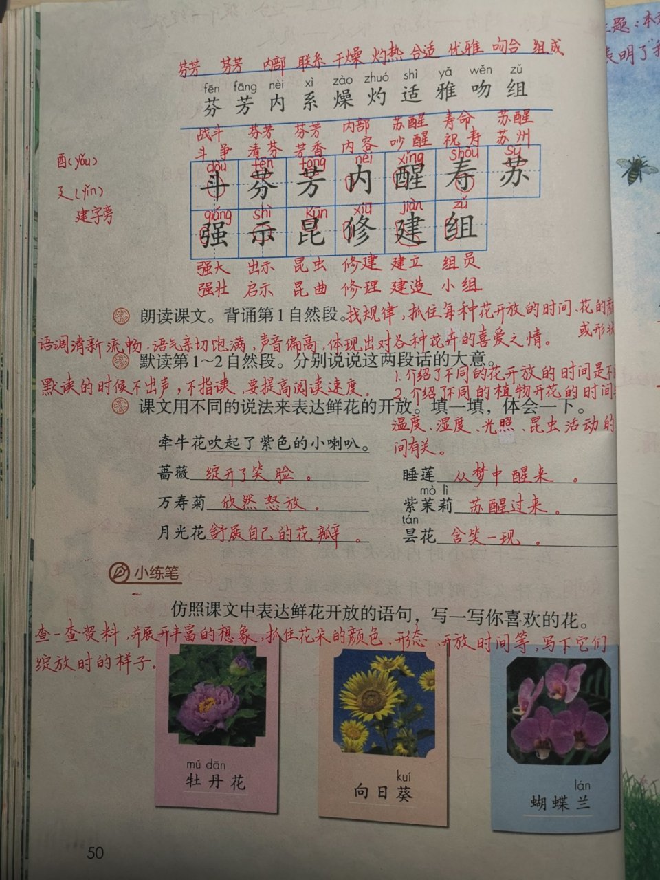 三年级语文下册第13课《花钟》课堂笔记