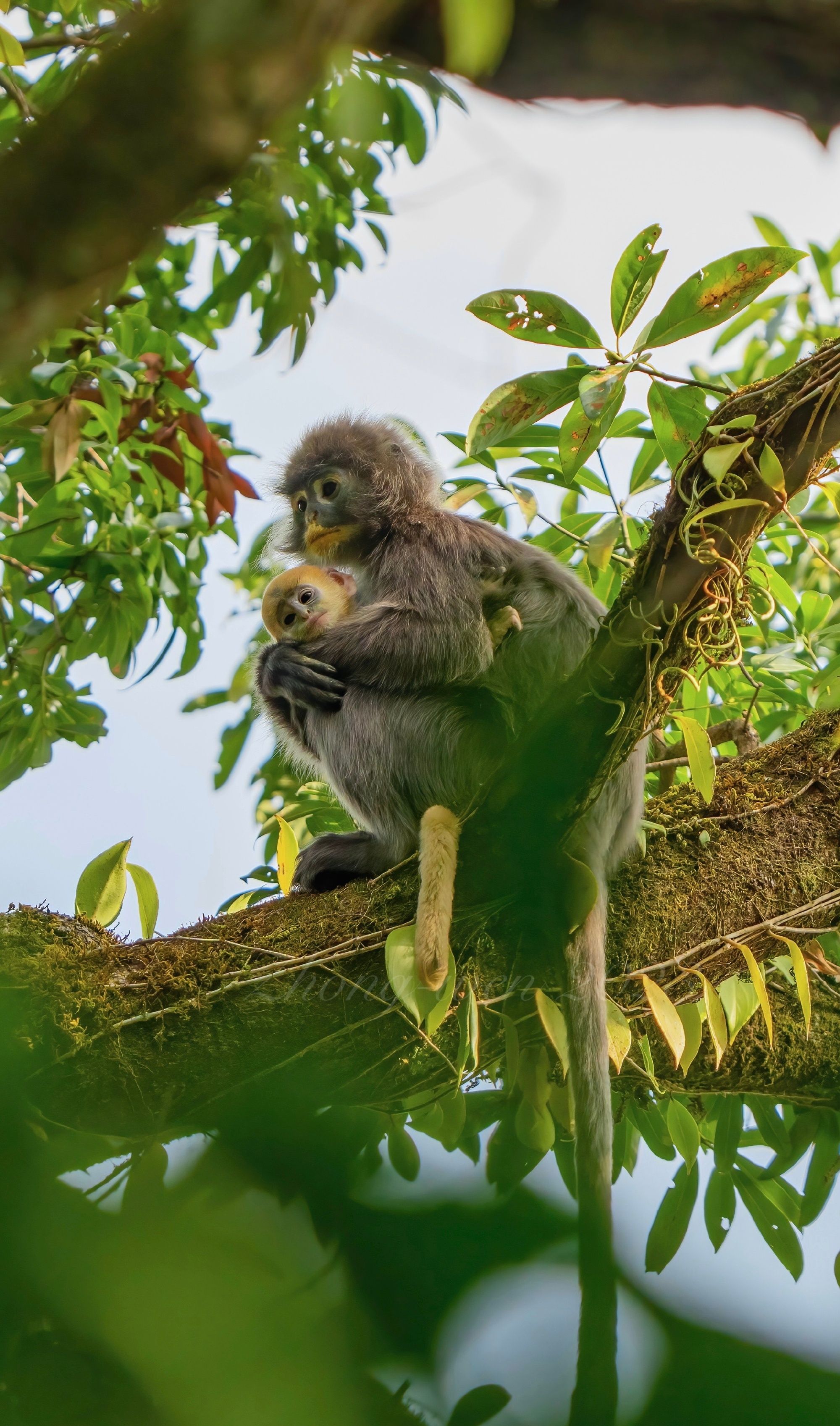 炎热的夏天给大家分享一组清凉的壁纸