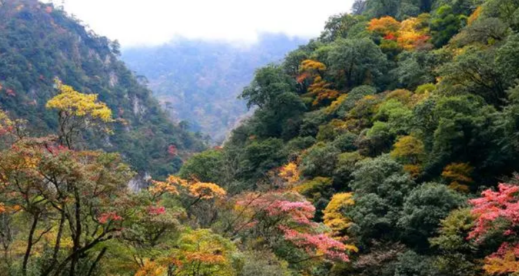 四川宝兴县旅游景点