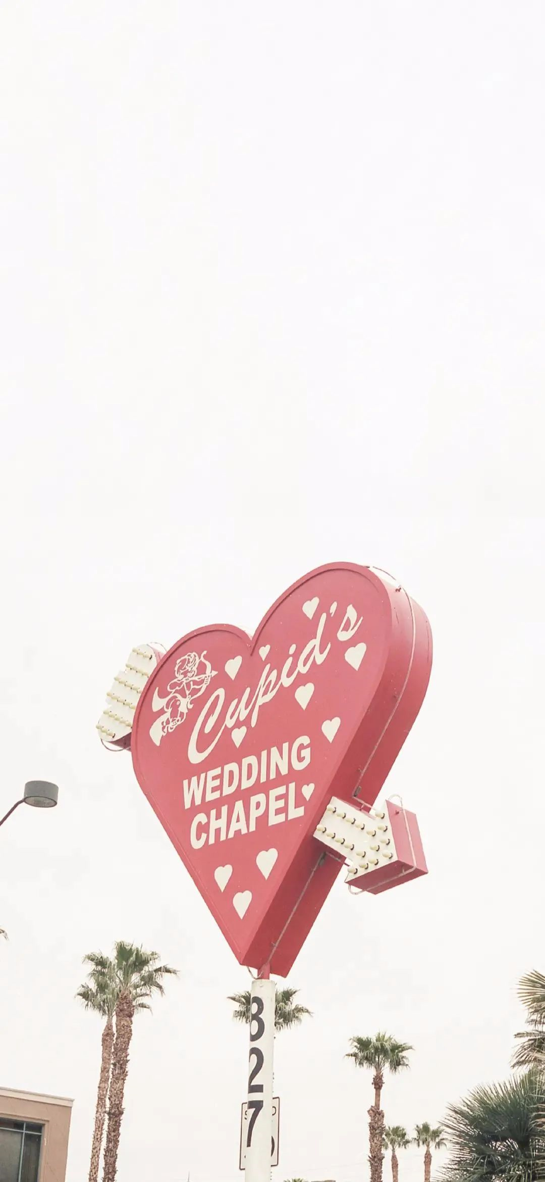 壁纸|遇到那个很爱很爱的人