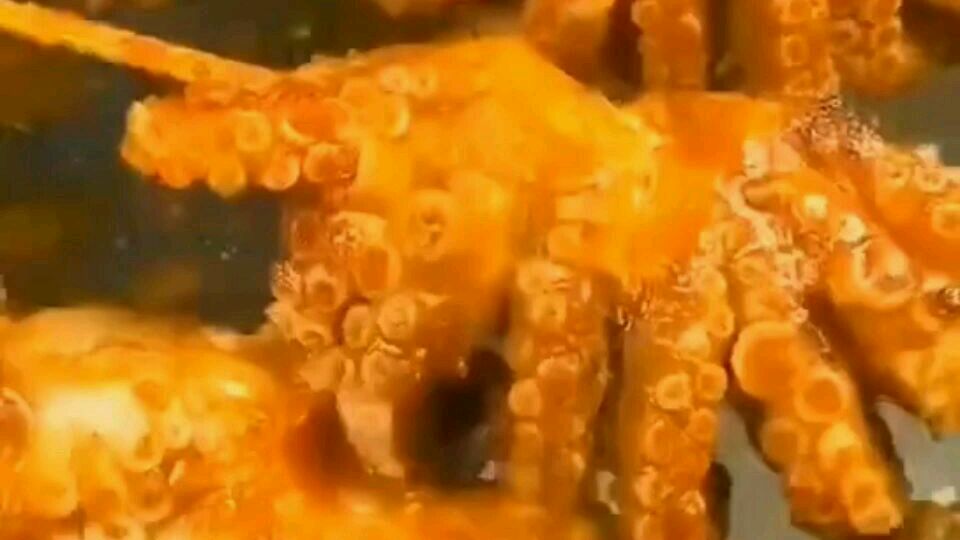 看看吧路边摊煎烤八爪鱼