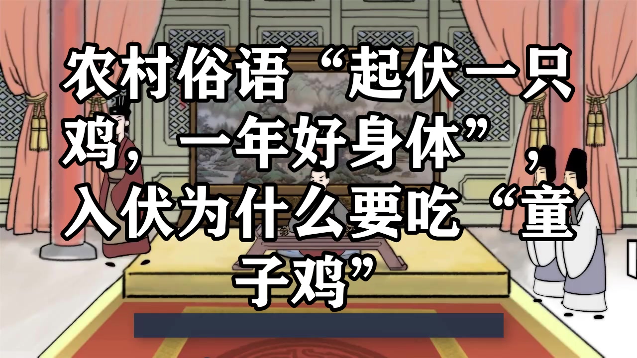 农村俗语“起伏一只鸡,一年好身体”,入伏为什么要吃“童子鸡”