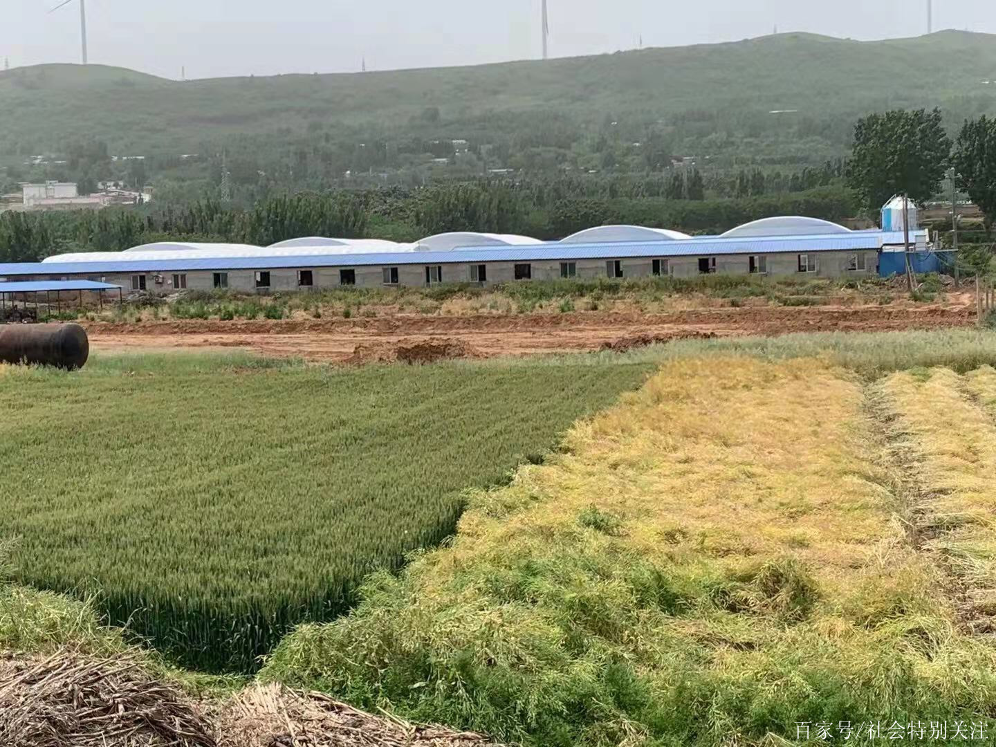 自己耕地建养殖场是不是违建 2023养殖用地新规定