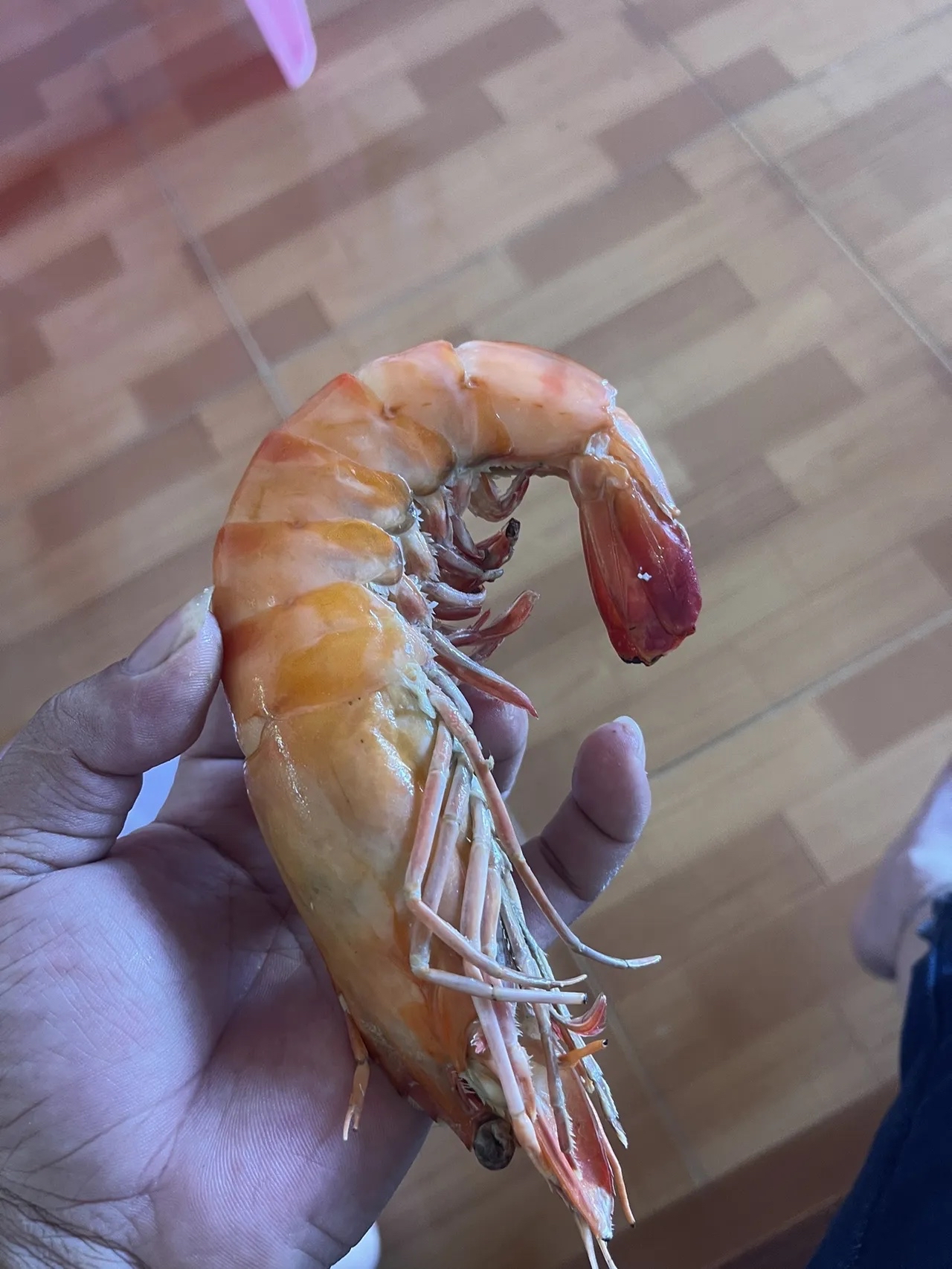 这虾够大吧