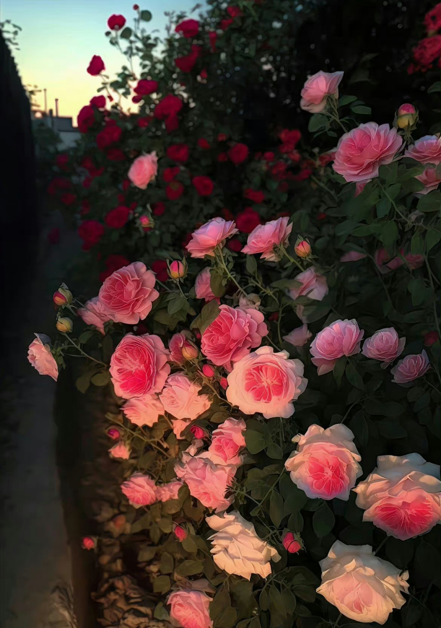 居家之善,无非勤俭持家,孝养父母,严教子女.