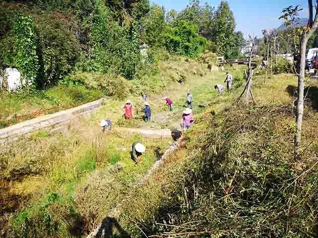大理洱源县牛街乡持续开展清沟清渠,有效防控雨水冲击污染