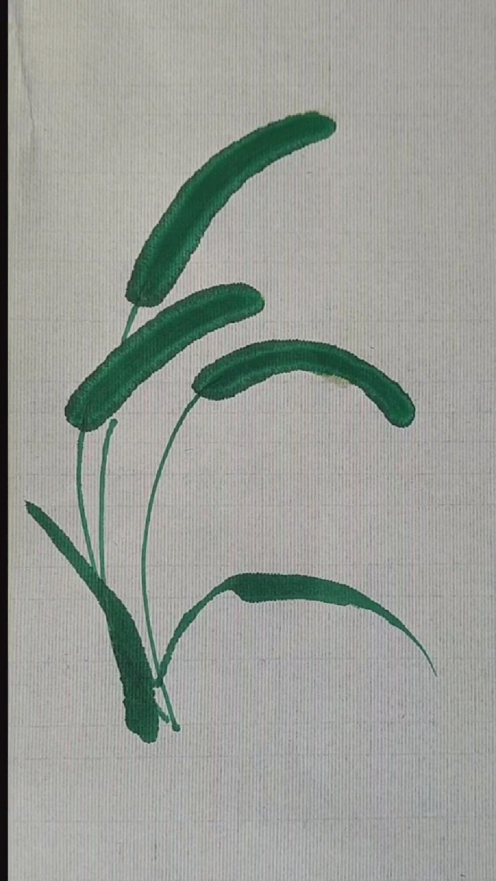 简笔画狗尾巴草!