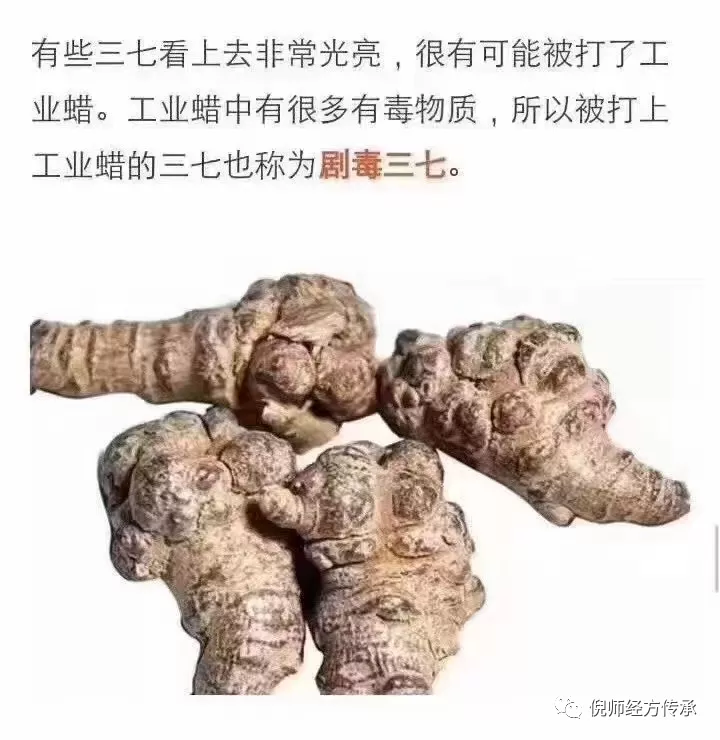 怎樣分辨優質三七?