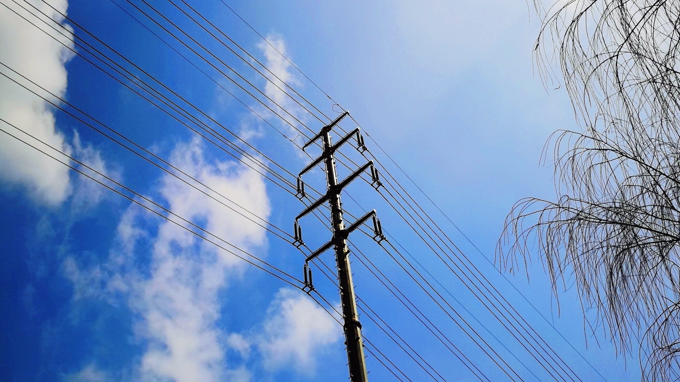 毕业一年还可以考国家电网吗?