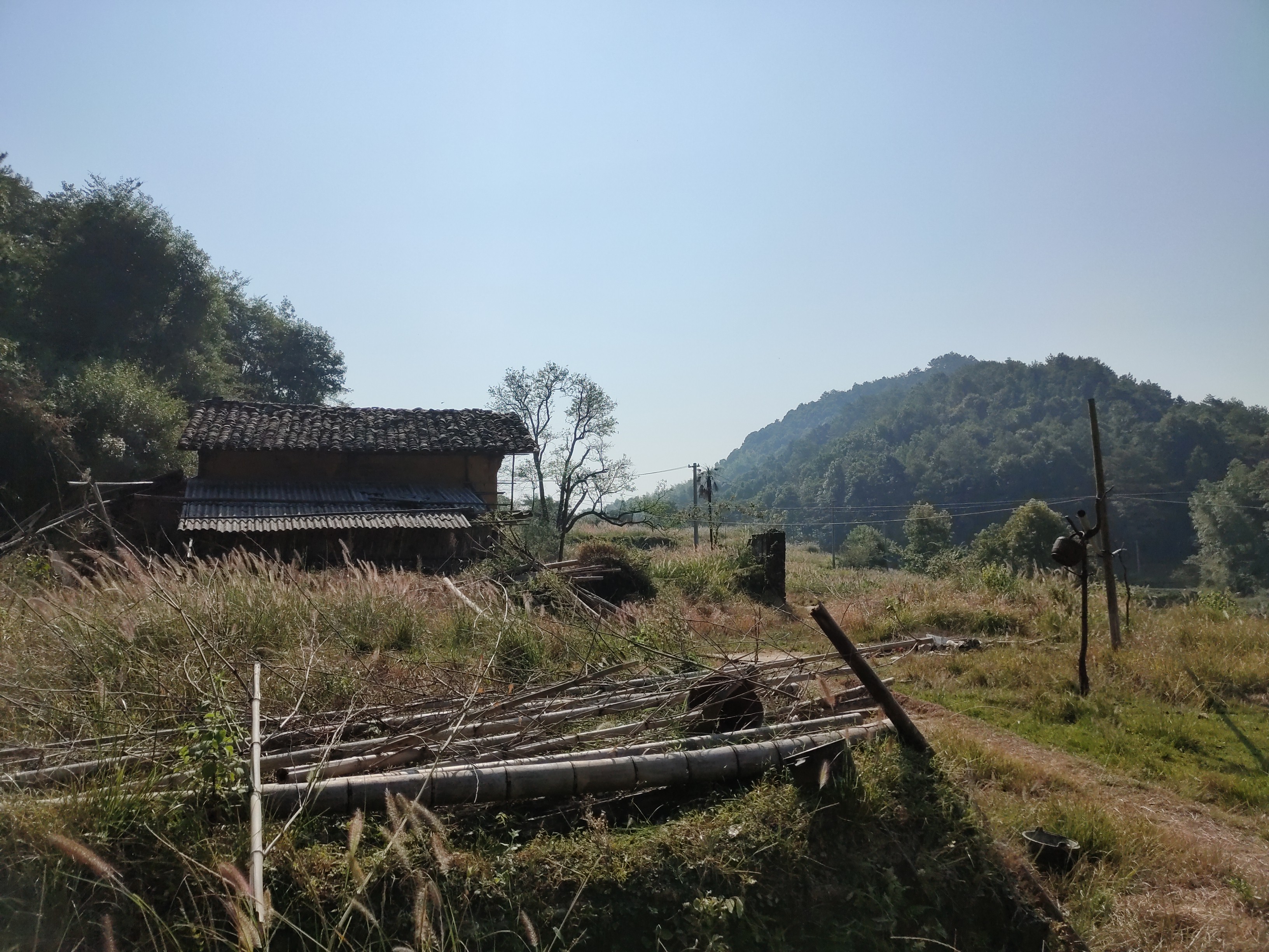 麻布岗镇图片