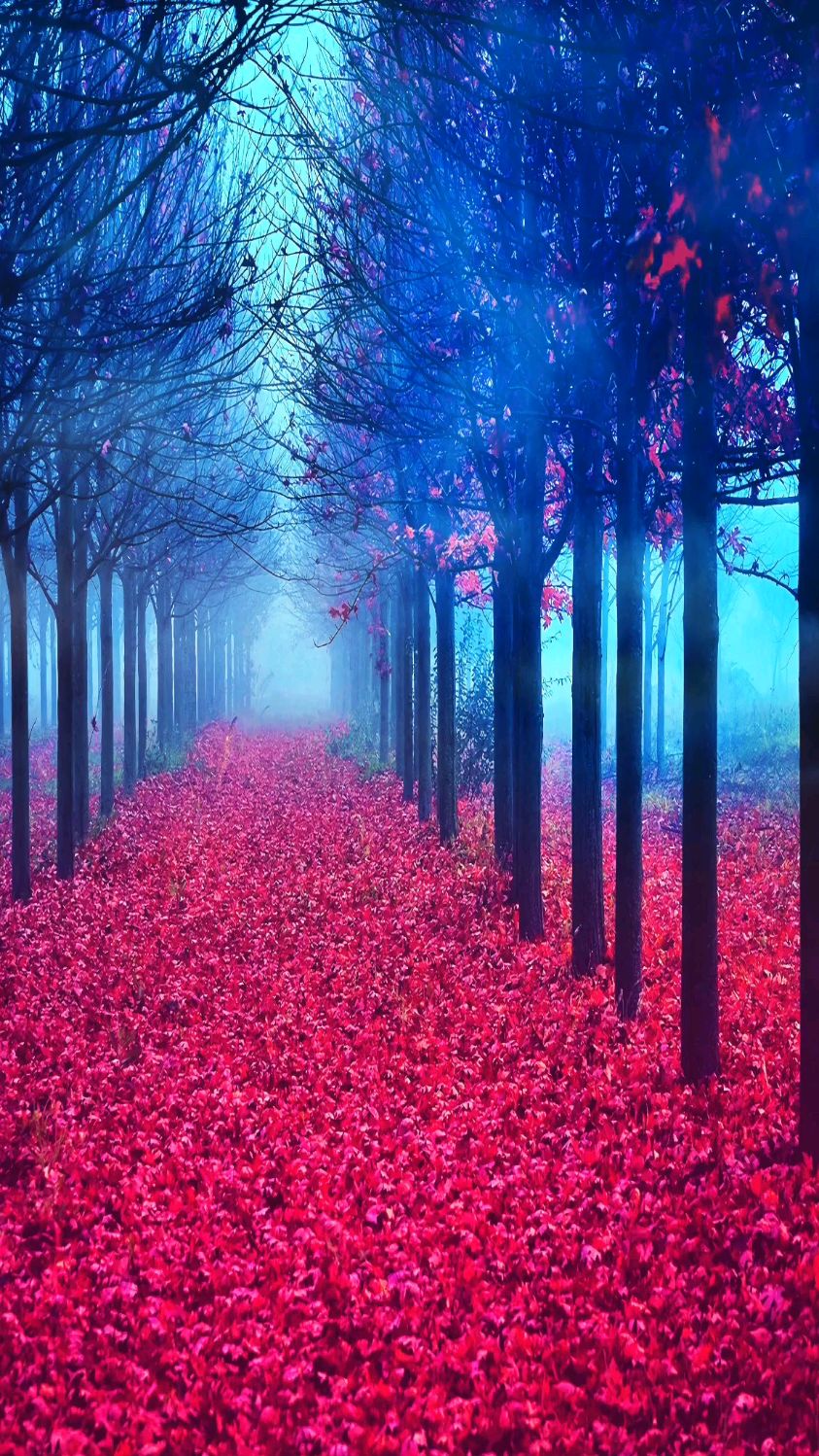 绝美风景直线航拍,治愈你的心灵,洗尽你的烦恼