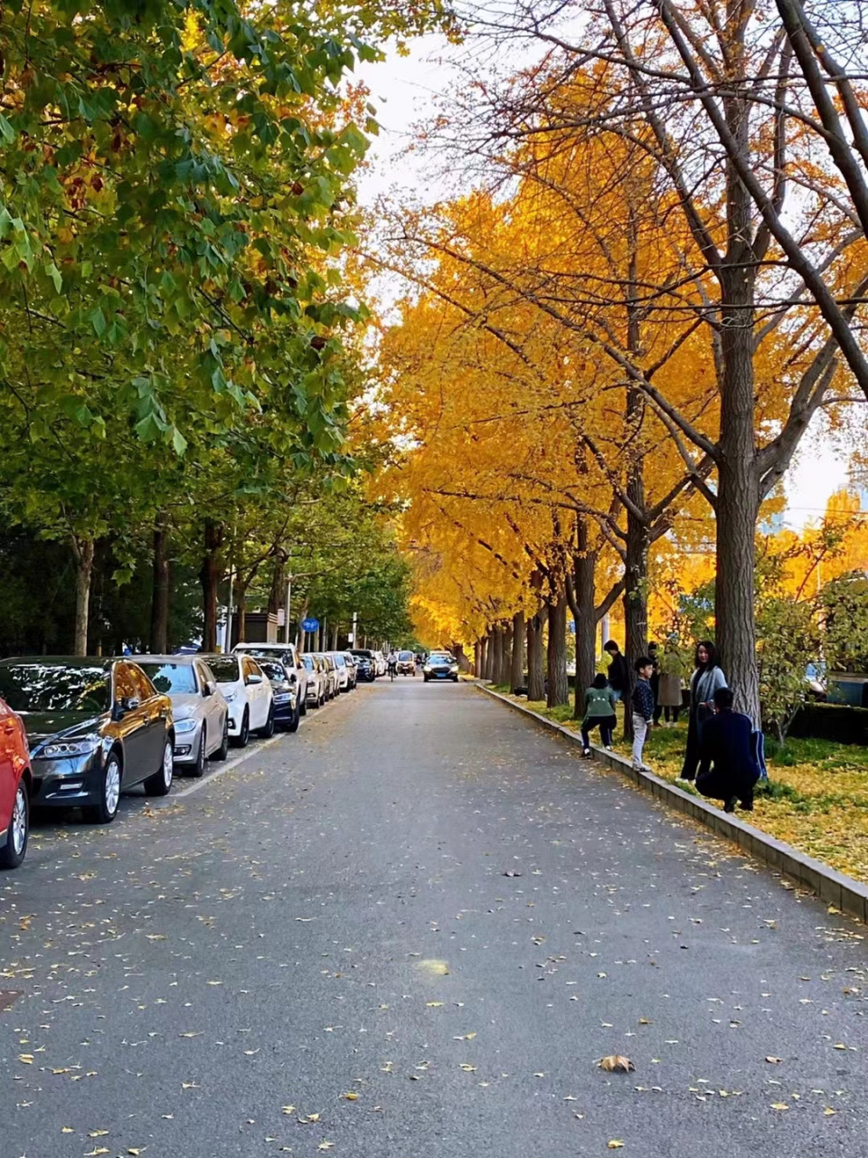 顺颂时祺,秋绥冬禧