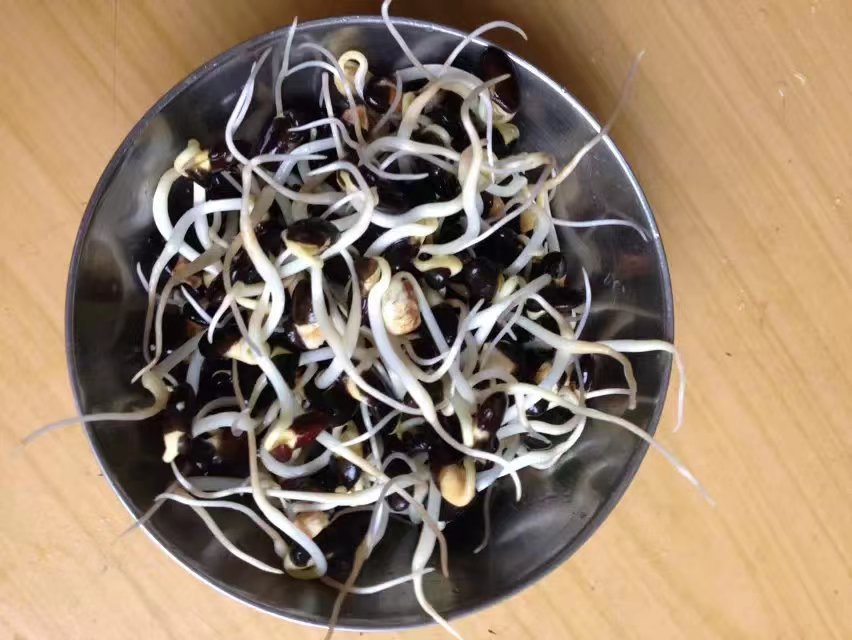 我能让一颗黑豆变成一碟素炒黑豆芽,不是玩魔术,也不是扯大炮