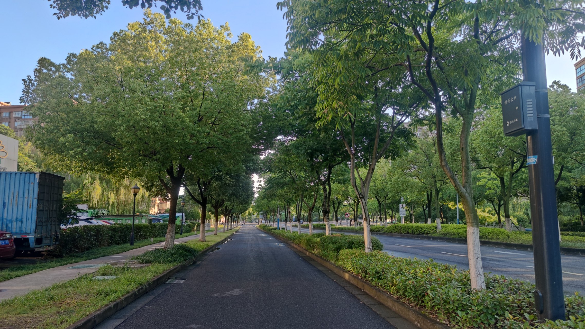 早上六七点钟的嘉兴街景,清新优美