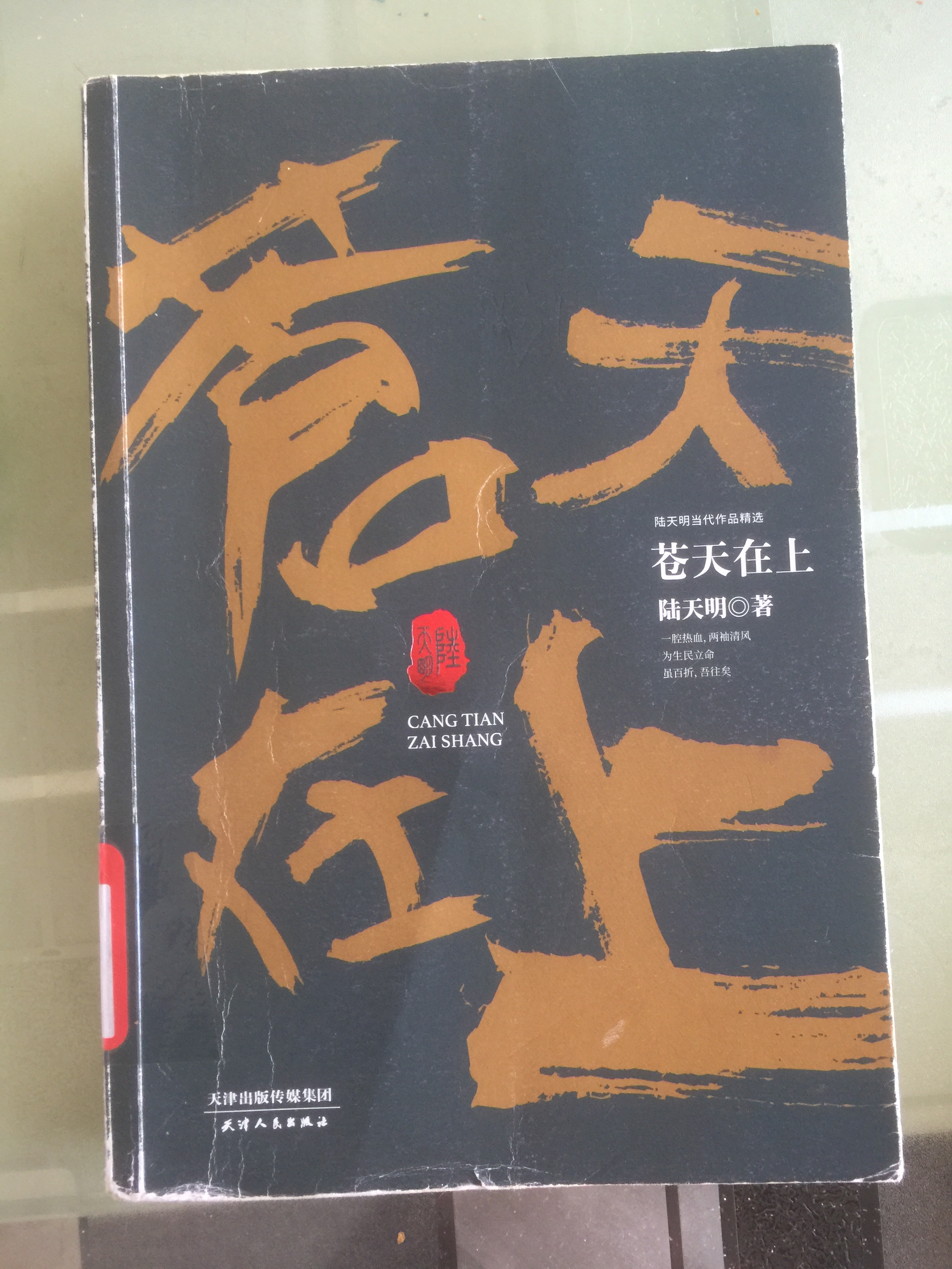 《苍天在上》是一本什么小说