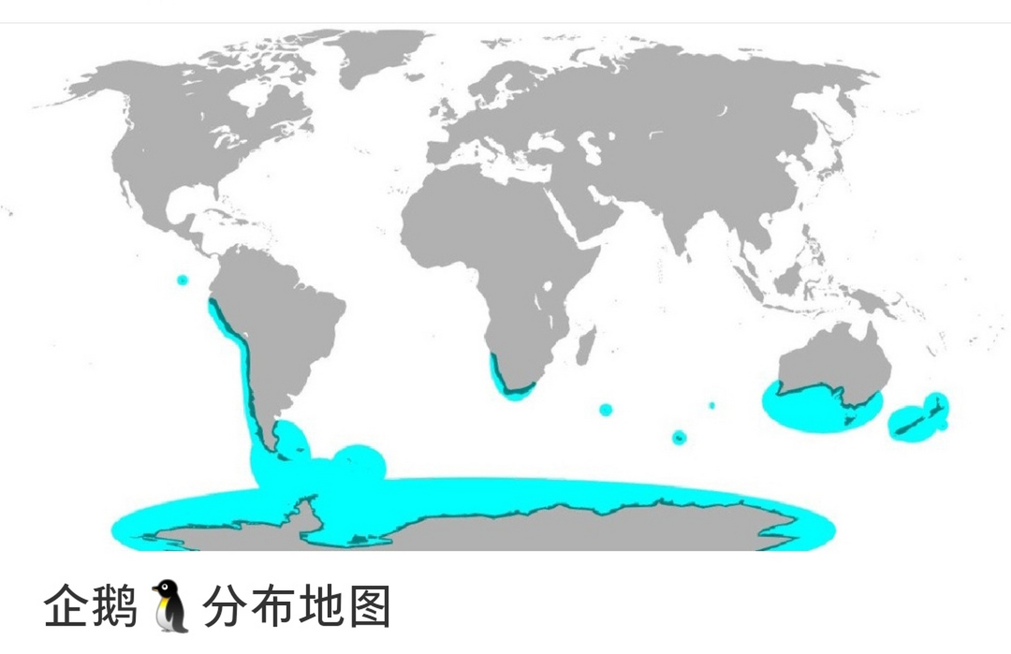 地图帝帝企鹅图片