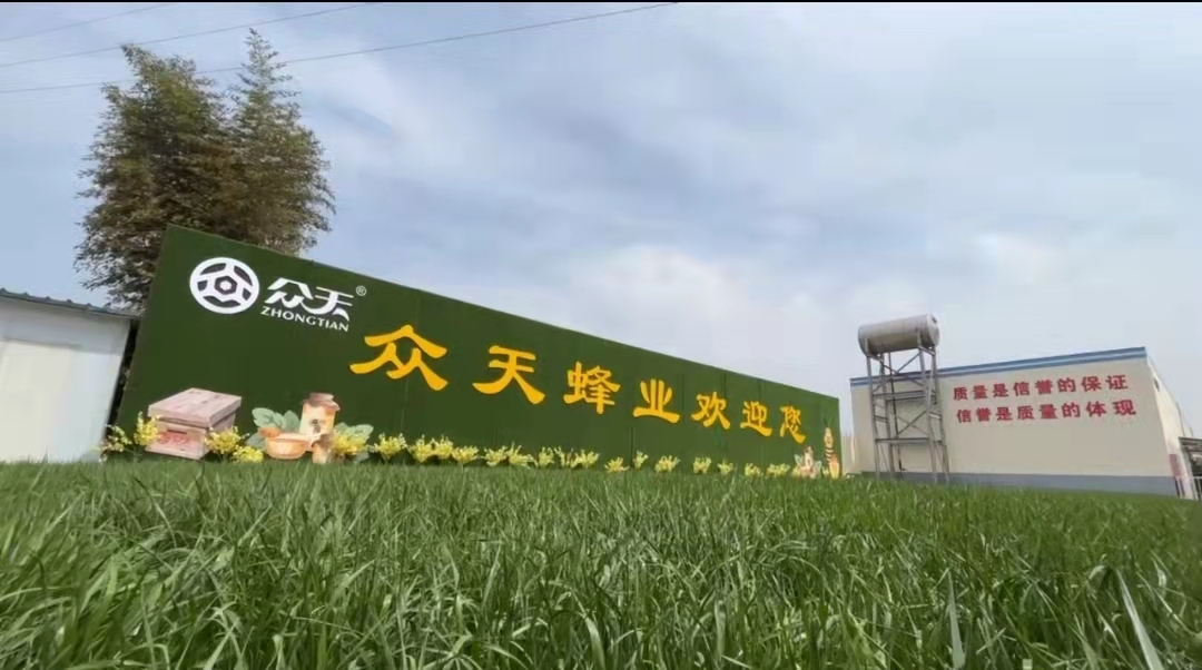 山东绿化树苗种植基地地址