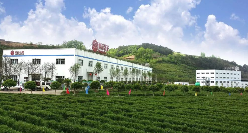 陕西东裕茗茶品牌价值达1.32亿元 跻身全国茶企品牌百强