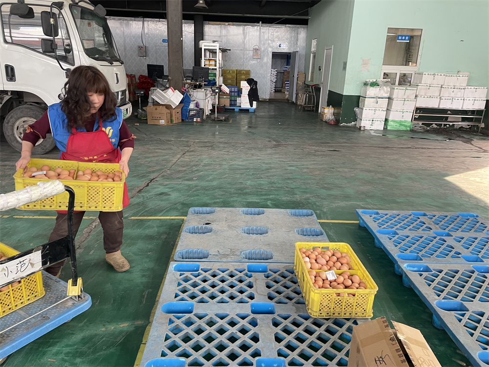 鲜货直达!揭秘学校食材一站式配送公司的新鲜秘密