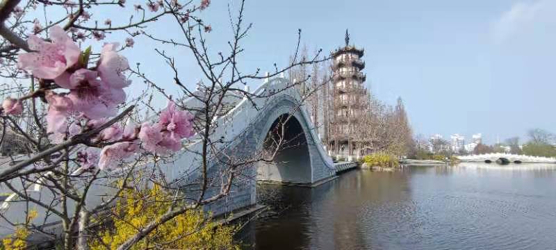 邳州桃花岛赋(作者 赵京林)