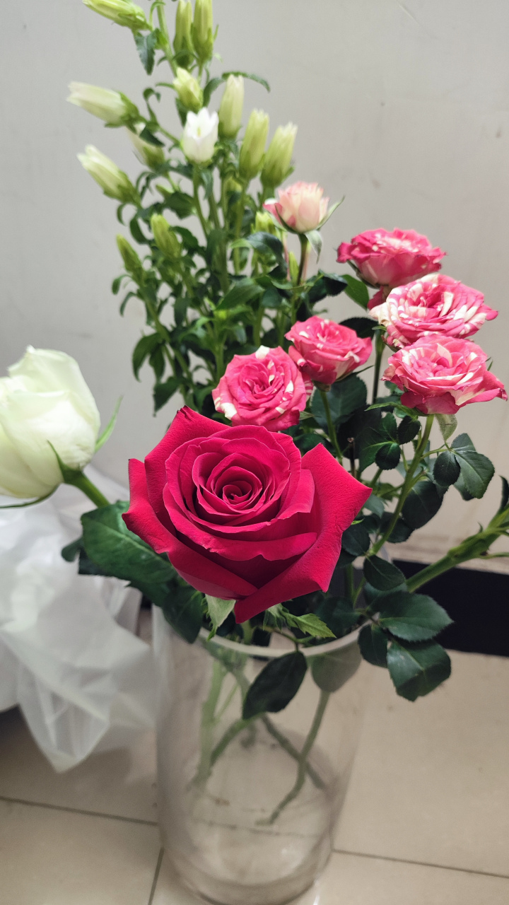 瓣柔依风舞,幽香漫室清.  花团锦簇聚,朵朵吐真情.